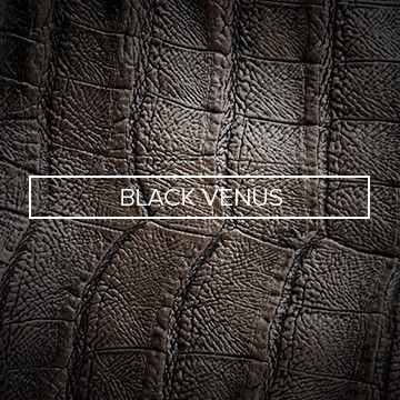 Black Venus